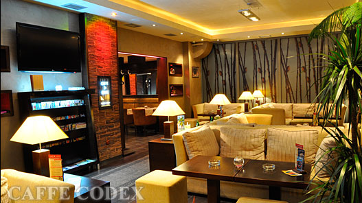 Welcome to Villa Modex!