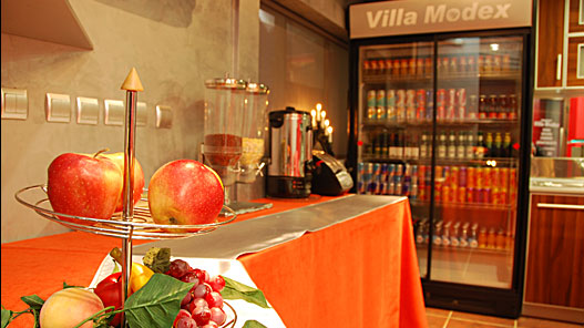 Welcome to Villa Modex!